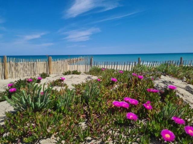 Maison Plein Pied Proximite Plage Et Commerce - 5Sir33 Villa Le Barcares Luaran gambar